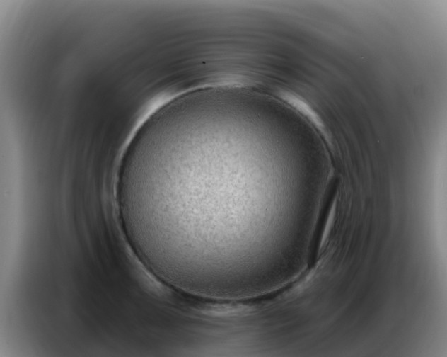 X0000086801091200704201858
