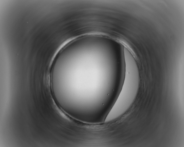 X0000086801092200704201858