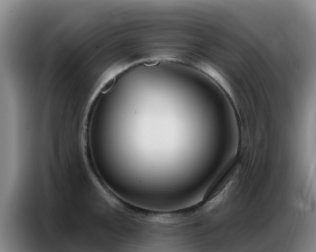 X0000086801093200704201858