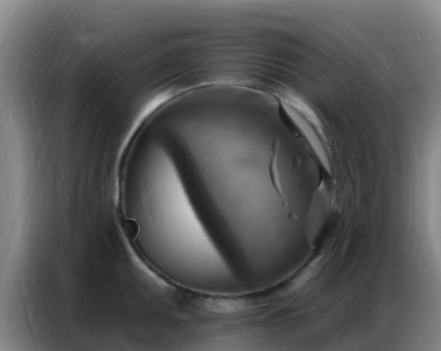 X0000086801095200704201858