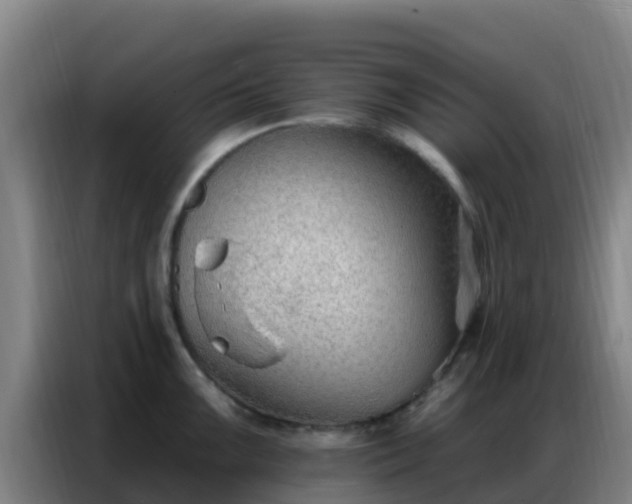 X0000086801099200704201858