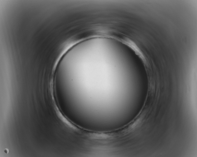 X0000086801100200704201858
