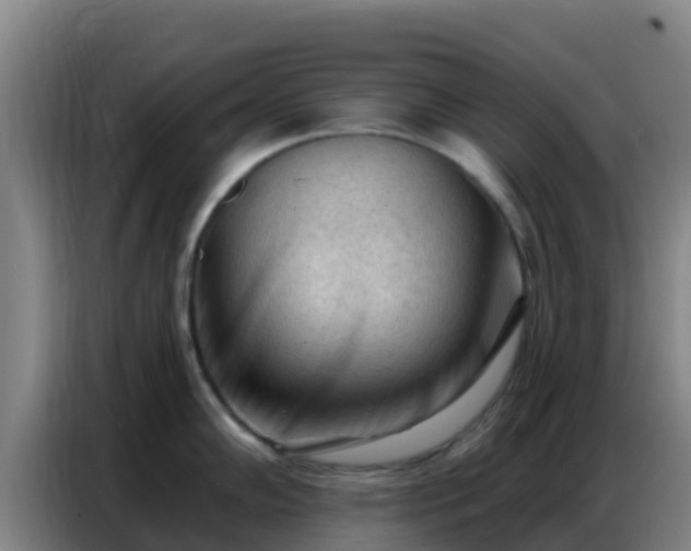 X0000086801102200704201858