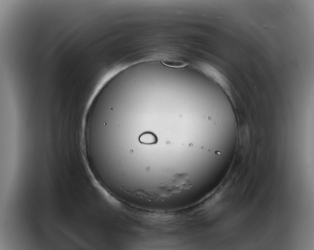 X0000086801103200704201858