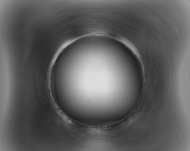 X0000086801104200704201858