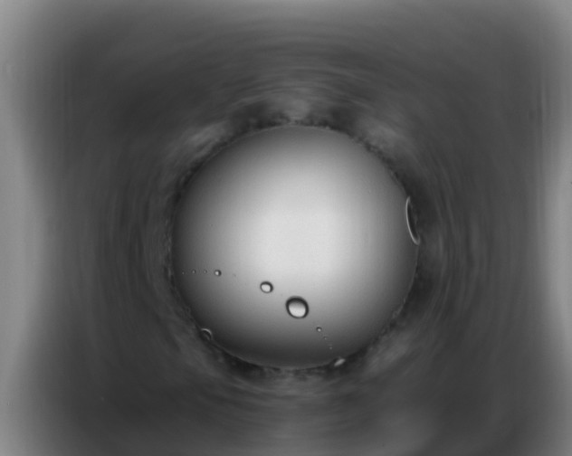 X0000086801105200704201858