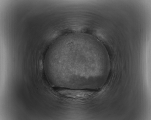 X0000086801106200704201858
