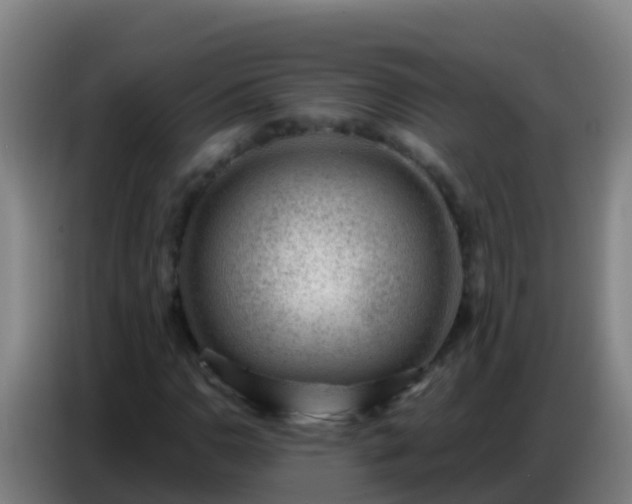 X0000086801110200704201858