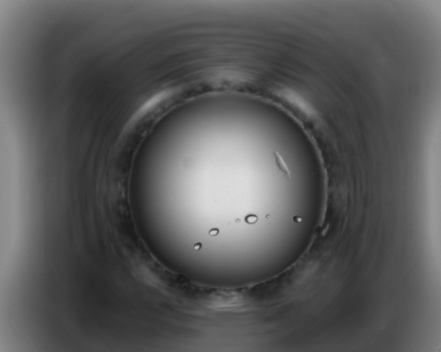 X0000086801112200704201858