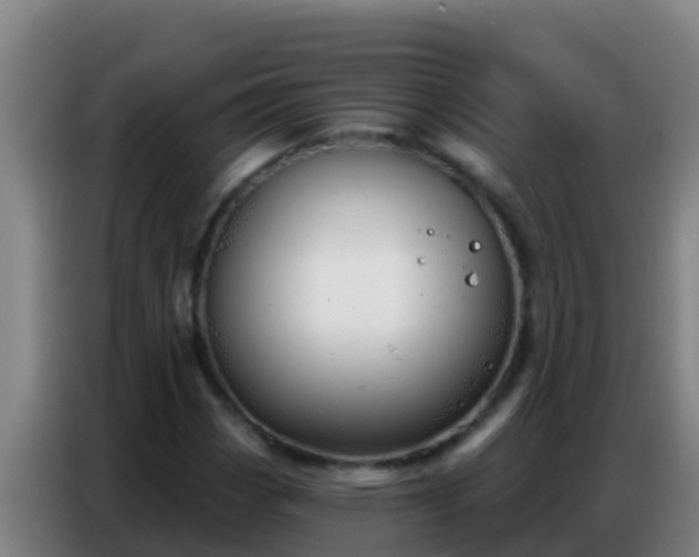 X0000086801113200704201858
