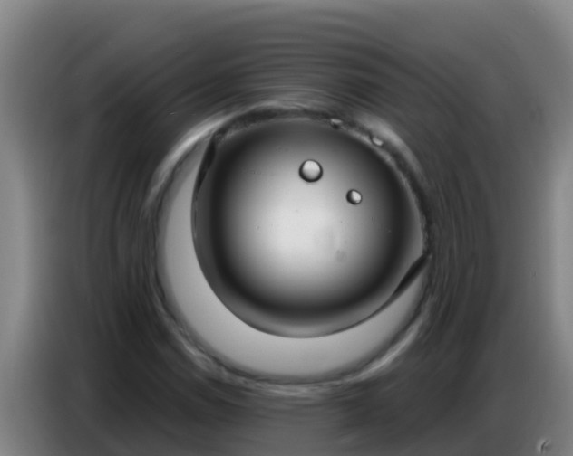 X0000086801114200704201858