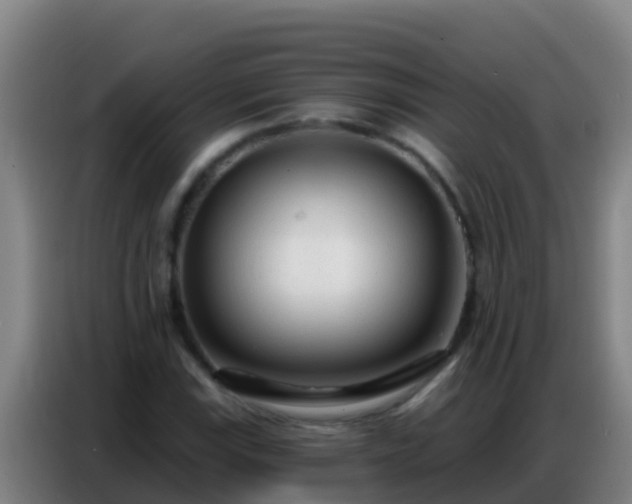 X0000086801115200704201858