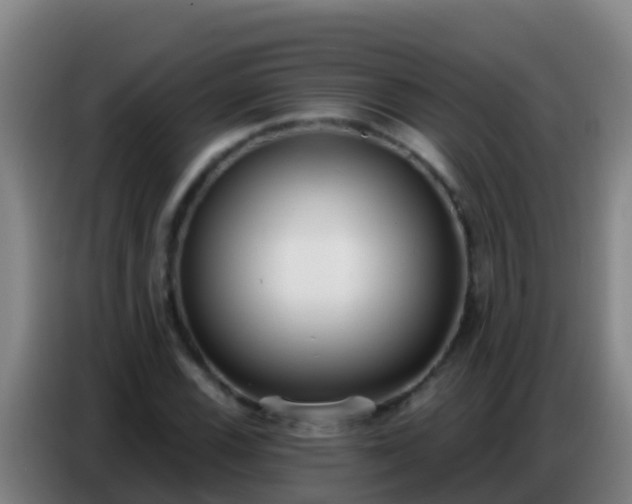 X0000086801116200704201858