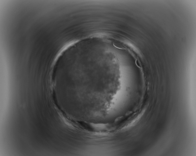 X0000086801117200704201858