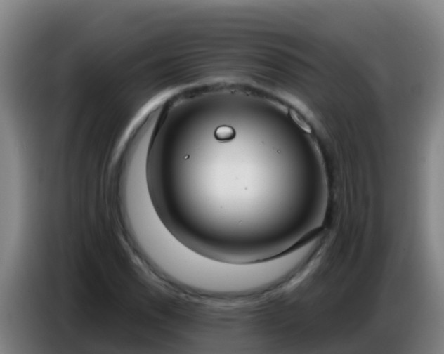 X0000086801118200704201858