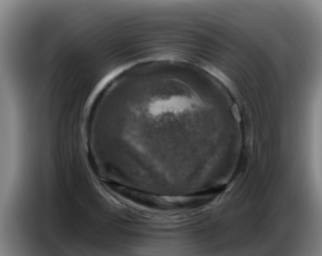 X0000086801120200704201858