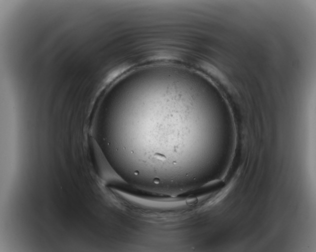 X0000086801121200704201858