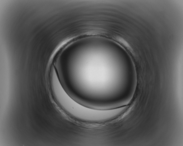 X0000086801122200704201858