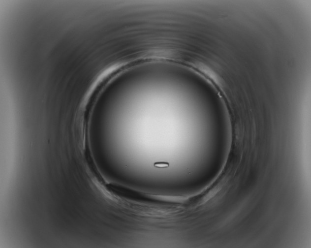 X0000086801123200704201858