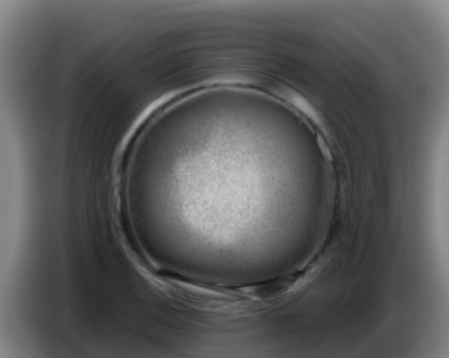 X0000086801124200704201858