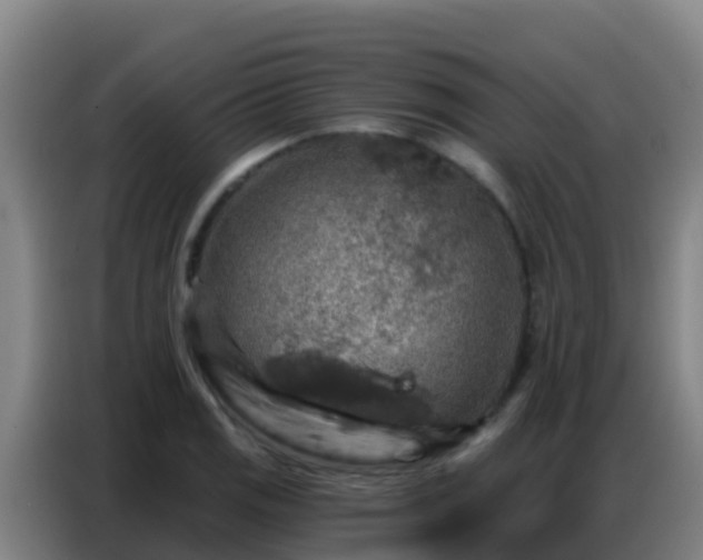 X0000086801125200704201858