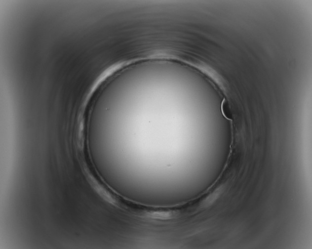 X0000086801126200704201858