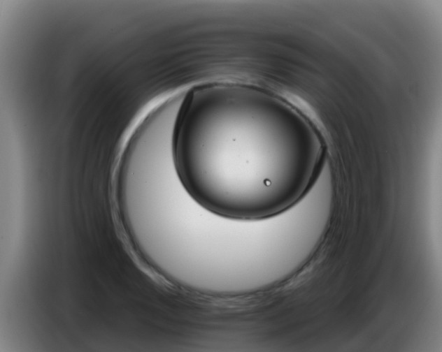 X0000086801128200704201858