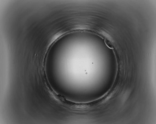X0000086801129200704201858