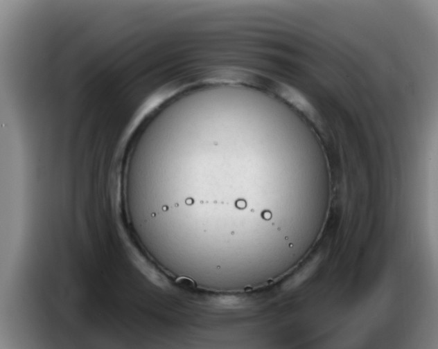 X0000086801130200704201858