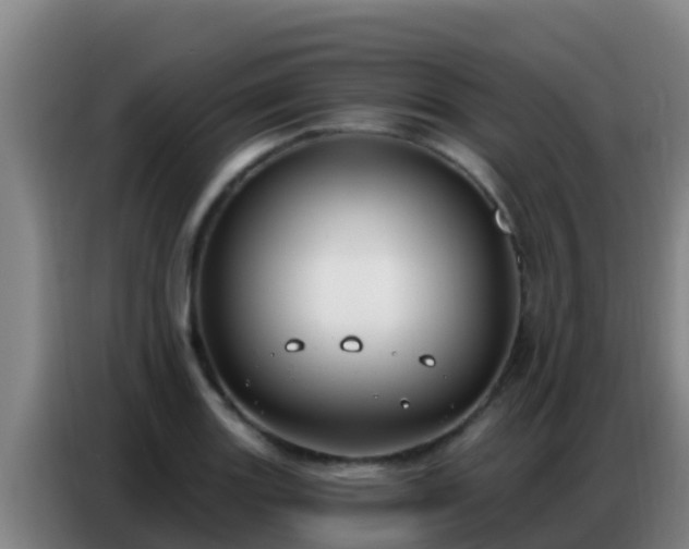 X0000086801131200704201858