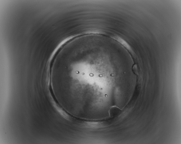 X0000086801132200704201858
