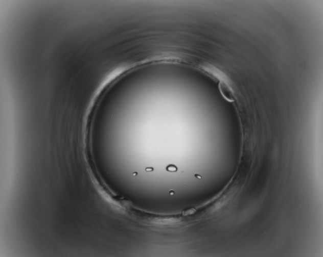 X0000086801135200704201858