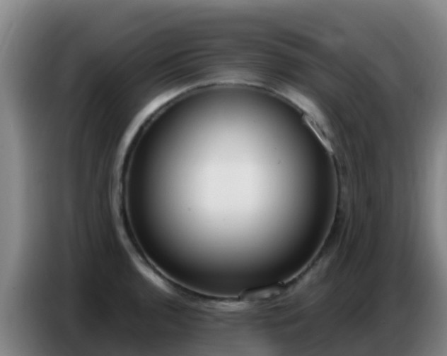X0000086801136200704201858