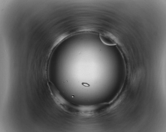 X0000086801137200704201858
