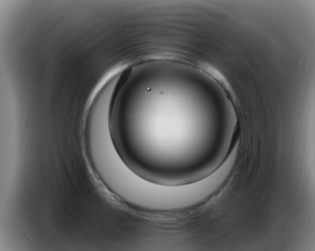 X0000086801138200704201858