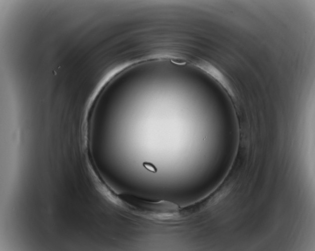X0000086801140200704201858