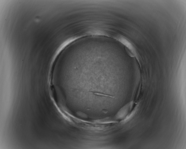 X0000086801141200704201858