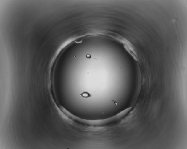 X0000086801143200704201858