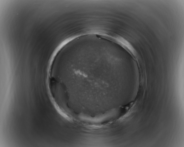 X0000086801144200704201858