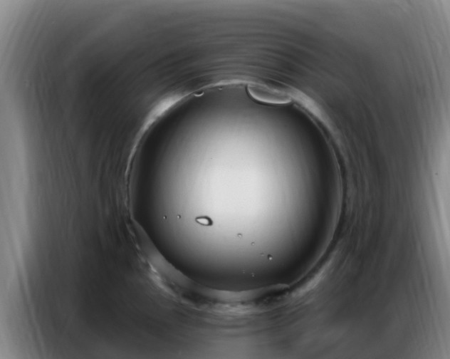 X0000086801145200704201858