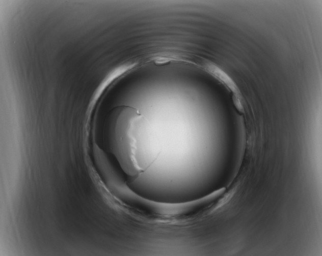 X0000086801146200704201858