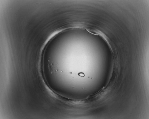 X0000086801147200704201858