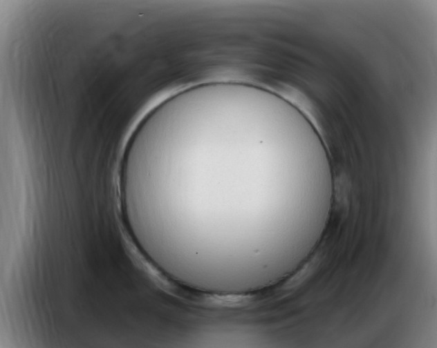 X0000086801150200704201858