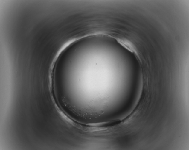 X0000086801151200704201858