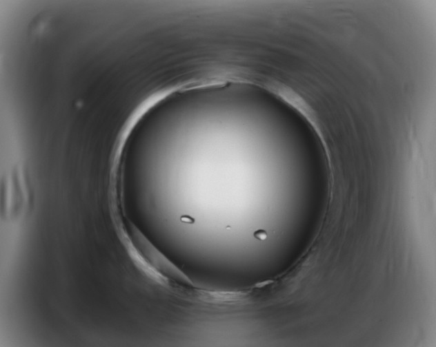 X0000086801152200704201858