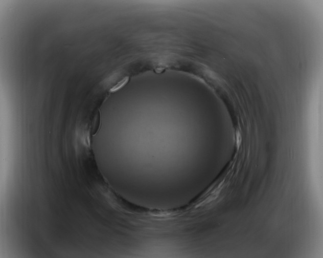 X0000086801155200704201858