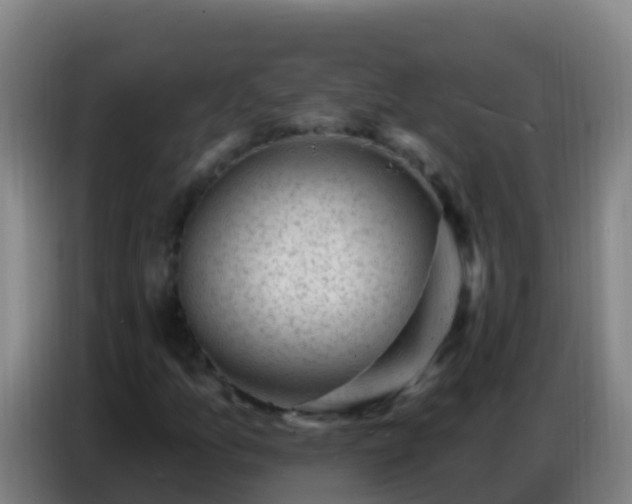 X0000086801157200704201858