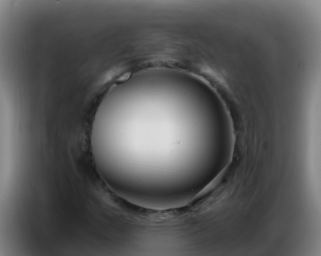 X0000086801159200704201857