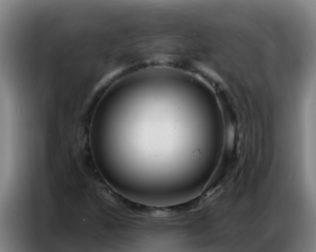 X0000086801160200704201857