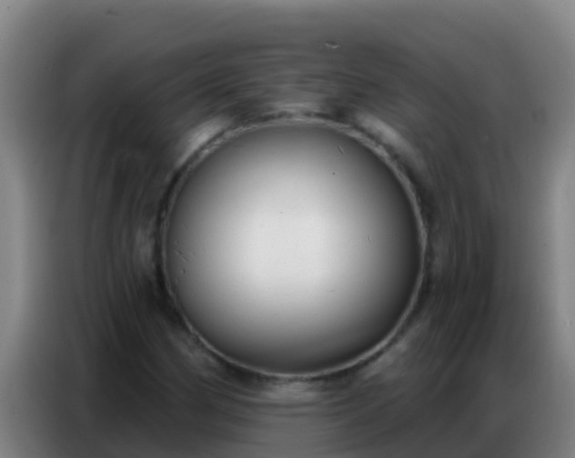 X0000086801162200704201857